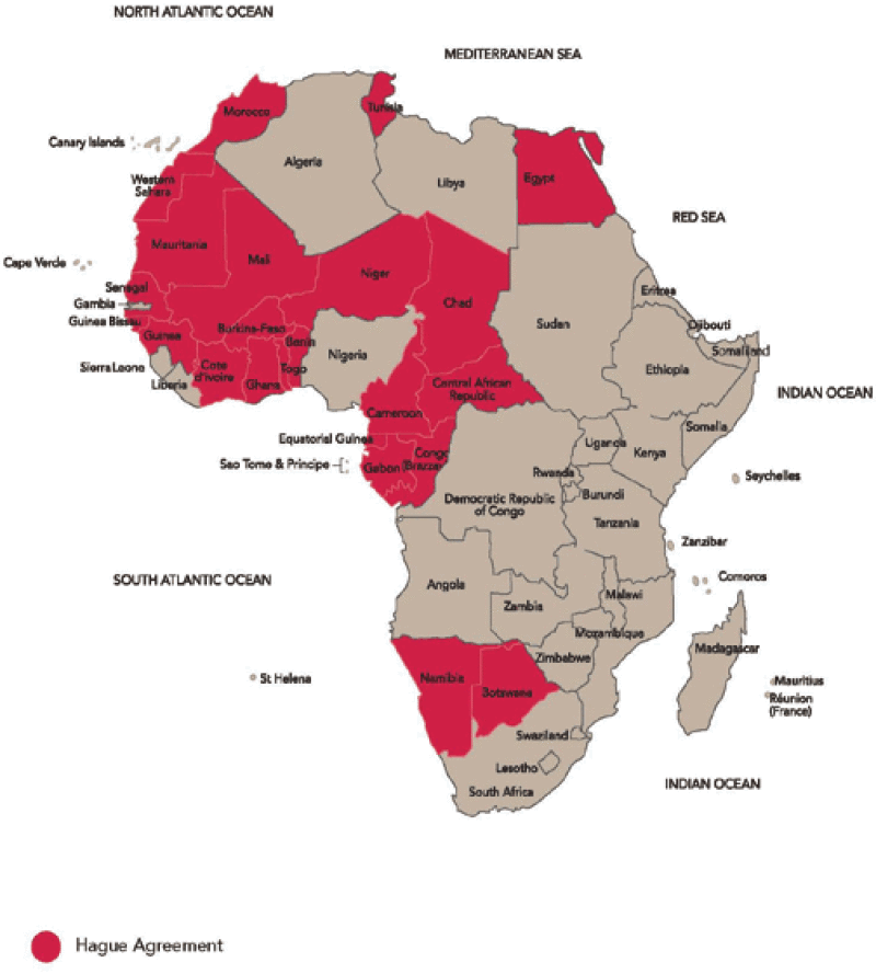 Africa and the Hague Agreement  Managing Intellectual Property