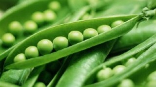 peas.jpg