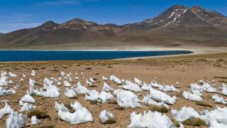 Chile, Antofagasta Region, Altiplano, Atacama Desert, Los Flamencos National Reserve, Laguna Miscanti (4200 m) in the Andes
