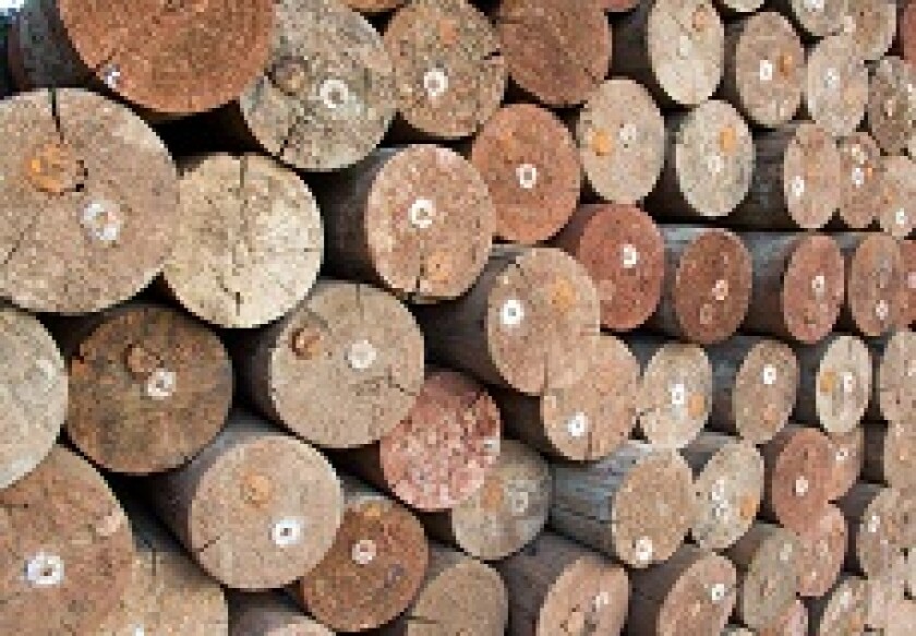 Wood trees trunks timber for paper industry from Alamy 230x150