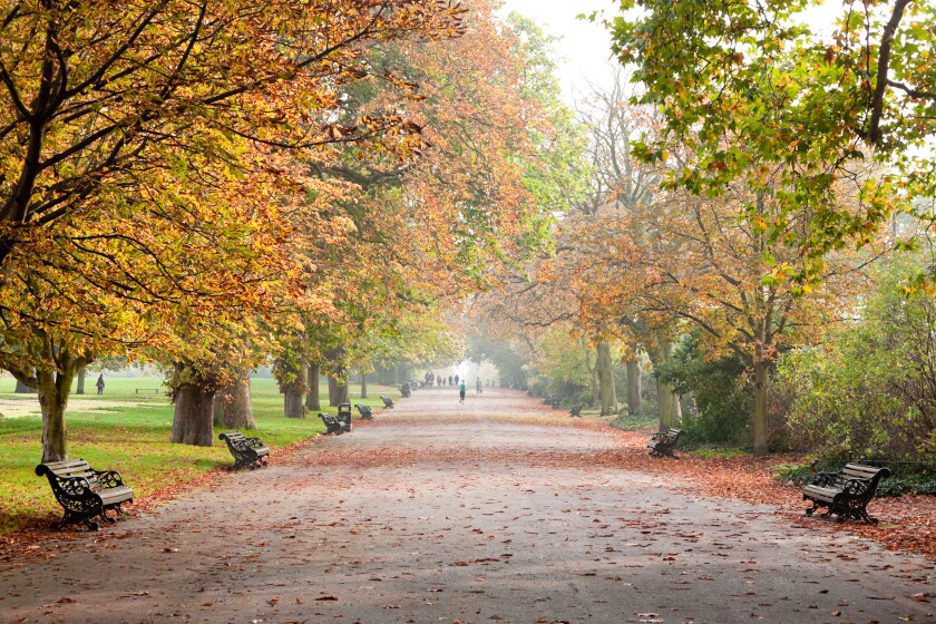 Regent's Park in autumn, London, England, UK