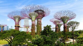 singpaore_adobe_575x375_20