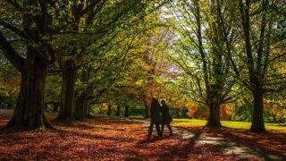 EMBARGOED TO 2330 TUESDAY OCTOBER 21 File photo dated 09/10/18 of walkers passing through the fallen autumnal leaves in Clarke's Gardens, Allerton, Liverpool. Older women who clock up 4,000 steps a day just once or twice a week cut their chance of early d