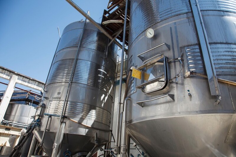 Chile wine from Alamy 26 Jul 22 575x375