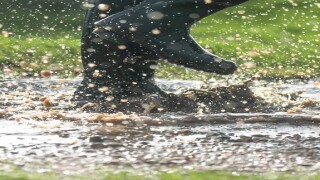 Adobestock_Welly Boots_575x375_May21