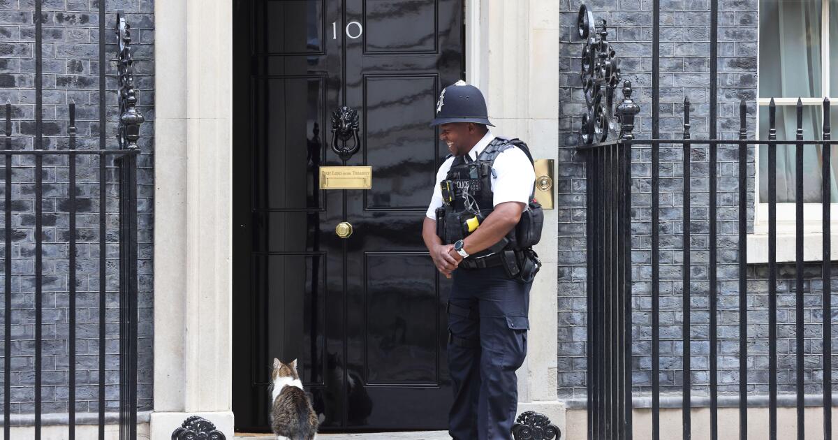 Starmer, strife and sterling bonds