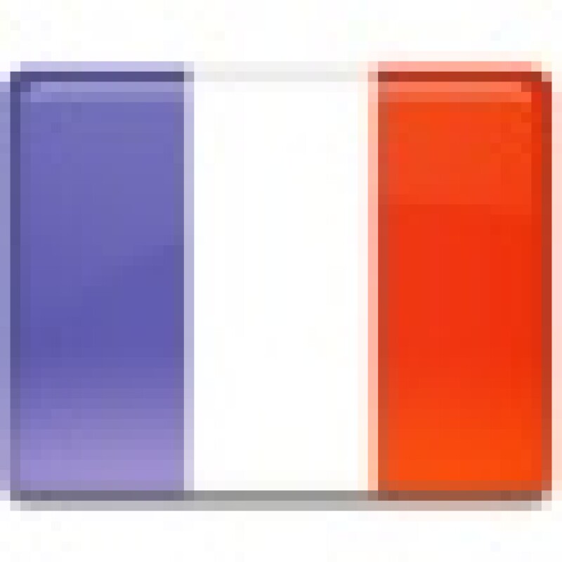 france20flag.jpg