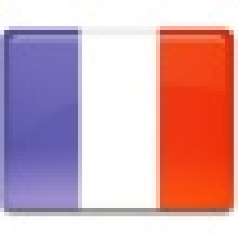 france20flag.jpg