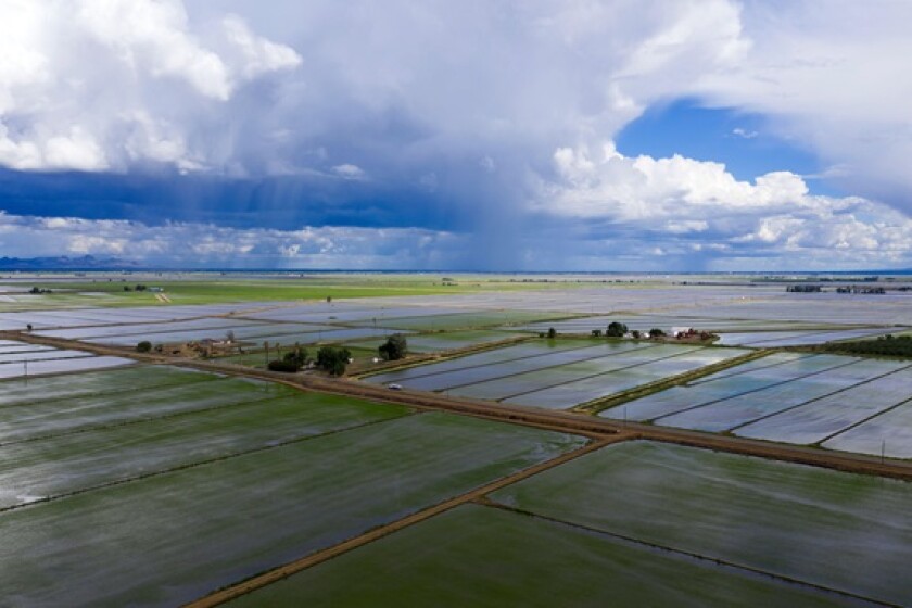 Water agriculture from Alamy 4Jul24 575x375