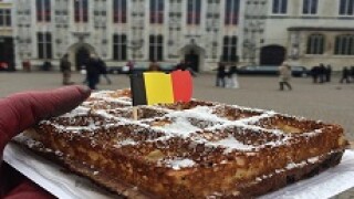 waffles 230