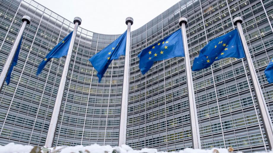 Berlaymont drapeaux europeens et neige | 
European flags around schuman and Berlaymont building with snow