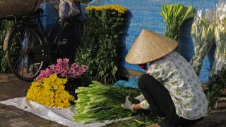 Early morning flower market scene at Hanoi Vietnam