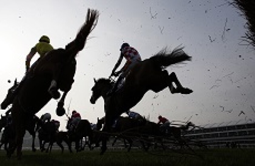 Horse_Race_jump_Fotolia_230x150