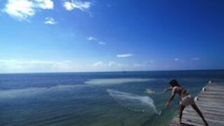 Belize, fish, restructuring, LatAm