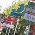 To Let signs along a street in south london, UK. Image shot 2008. Exact date unknown.