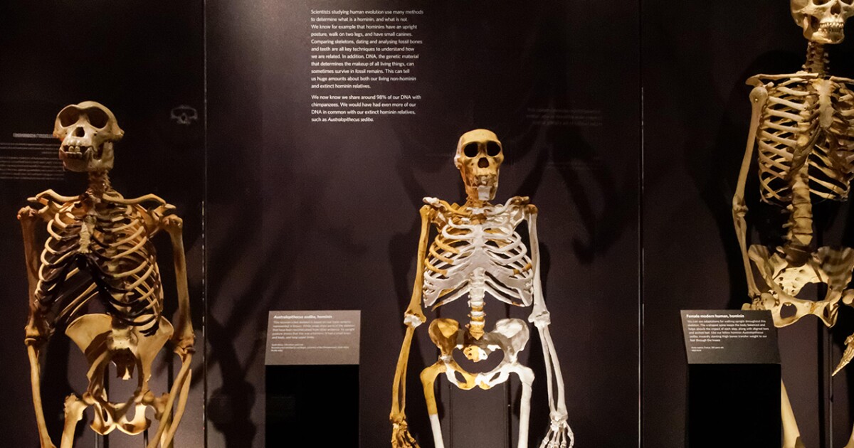 the species in investment banking that must evolve