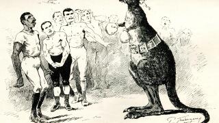Cartoon, Boxing Kangaroo, What is the Profession coming to?