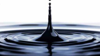 Oil