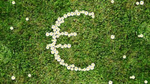 Euro sign from Daisy on a lawn, sustainability