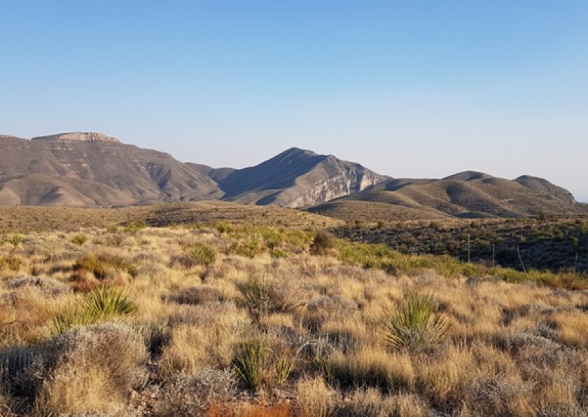 Coahuila grassland from Cultivo for use 13Mar25 575x375.jpg