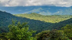 Cloud forest covering Reserva Biologica Bosque Nuboso Monteverde, Costa Rica