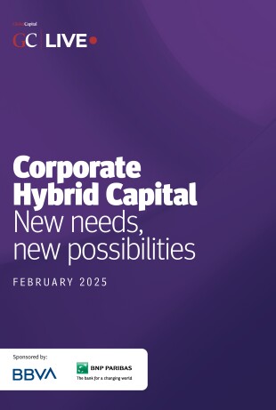 Corporate-Hybrid-Capital---Feb-2025.jpg