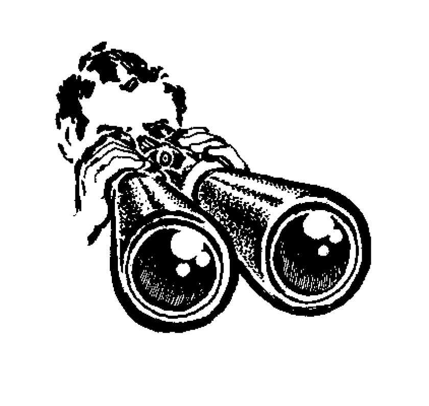 tuesdayview-large.gif