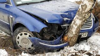 Blue Volkswagen Passat saloon crashed into a silver birch tree in Poland