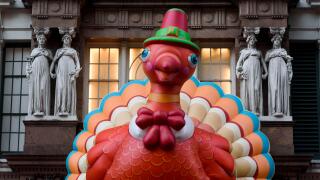 11-2017 New York, USA.  Thanksgiving Turkey in Manhattan. Photo: © Simon Grosset