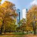City park in Frankfurt at autumn