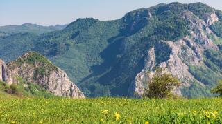 springtime scenery of romania countryside.  grassy rural fields on hills. gorge with cliff in the distance. beautiful sunny day