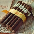 Cigar Cigars of Havana Havanna Cuba DAVIDOFF Davidoffs Kuba smoke smoker smoking high quality