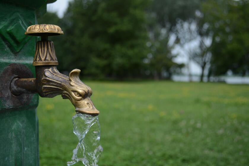 Brass dragon water tap in park with water to enjoy