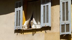 Cat sitting at window French Riviera
