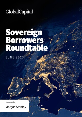 Sovereign Borrowers Roundtable June 2023.jpg