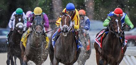 March 7, 2015 - U.S. - Carpe Diem with Johnny Velazquez Wins The Tampa Derby at Tampa Bay Downs March 7 2015(Credit Image: © Cal Sport Media\/ZUMAPRESS.com)