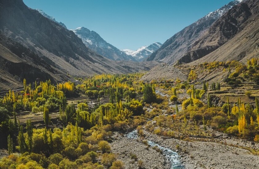 Alamy_Wapda_Pakistan_green_575x375_28May2021