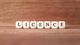 Word LICENCE made with wood building blocks