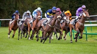 horse_racing_230px.jpg