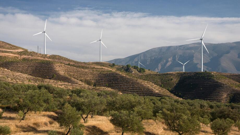 Olive grove and windmills, Lanjaron, Granada province, Region of Andalusia, Spain, Europe