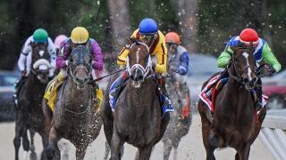 March 7, 2015 - U.S. - Carpe Diem with Johnny Velazquez Wins The Tampa Derby at Tampa Bay Downs March 7 2015(Credit Image: © Cal Sport Media\/ZUMAPRESS.com)