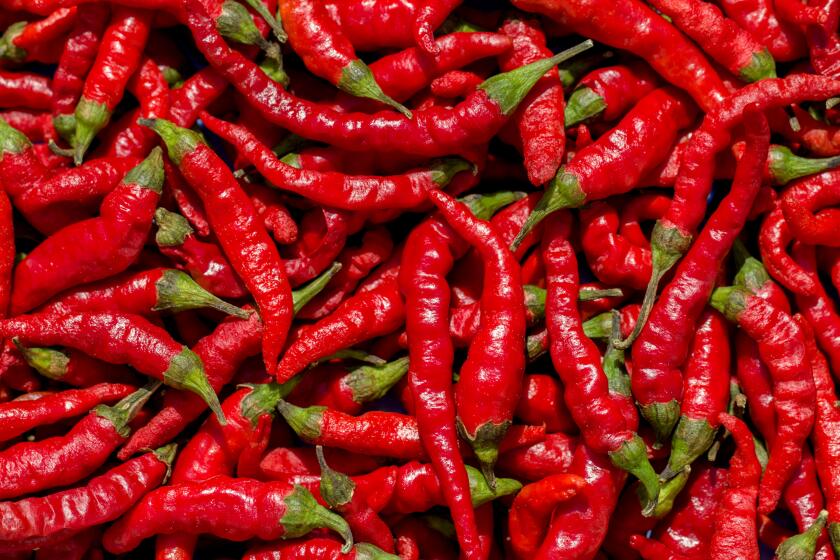 Hot red chilli pepper background