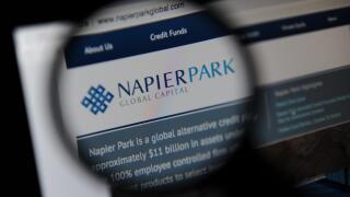 Napier Park Global Capital website seen through a magnifying glass