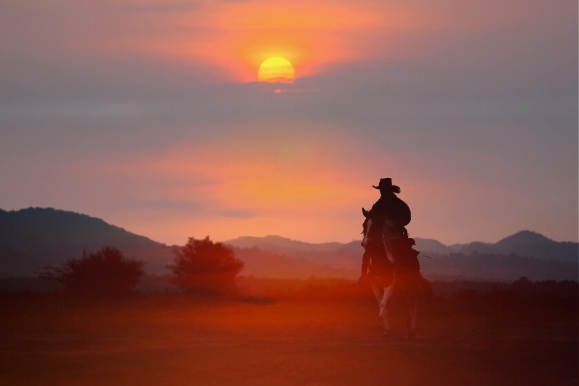 The silhouette of the cowboy and the setting sunset