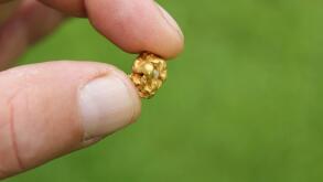 Gold Nugget mining from the River in Austria, real Goldnugget
