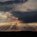 A breathtaking landscape showcasing dramatic crepuscular rays as the sun pierces through thick, moody clouds over a forested horizon.