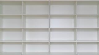 Empty book case