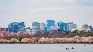 Washington DC, MAR 31 2022 - Beautiful skyline of downtown with cherry blossom