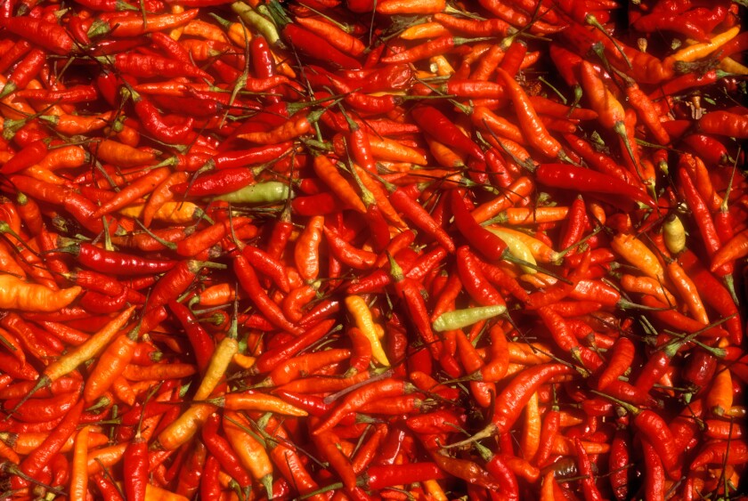 Red chili peppers in Mexico