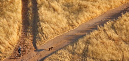 Local person with dog splitting paths in dry grassy landscape